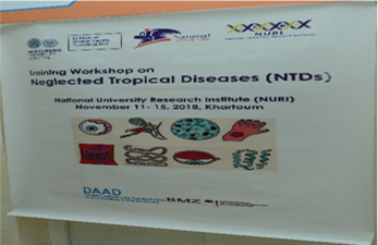 International collaborative workshops poster