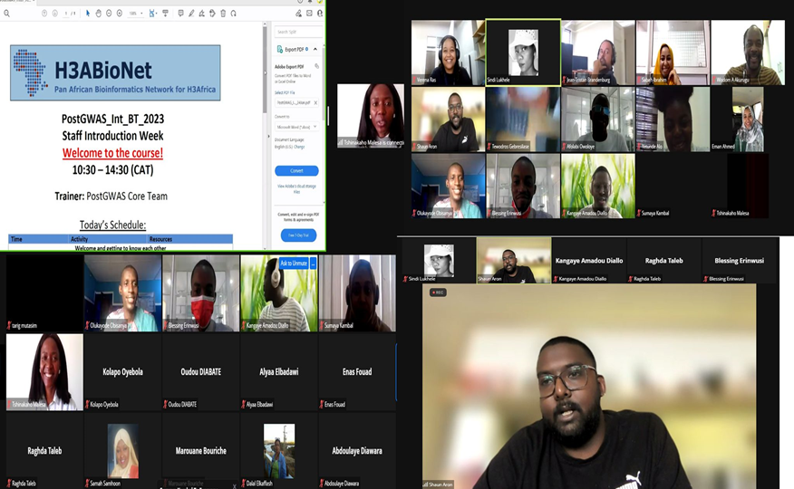 Participants attending virtual course